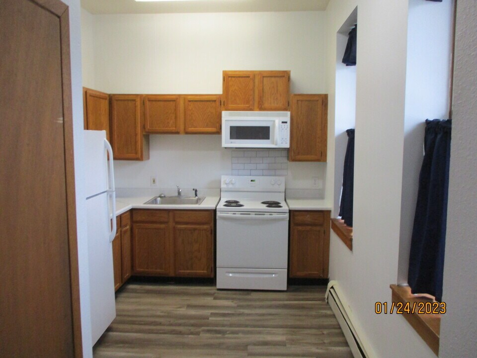 1337 Main St in Dubuque, IA - Building Photo