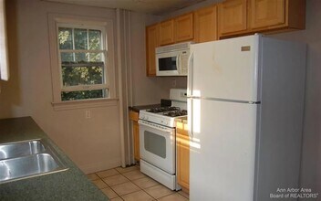 109 Hill St, Unit 4 in Ann Arbor, MI - Building Photo - Building Photo