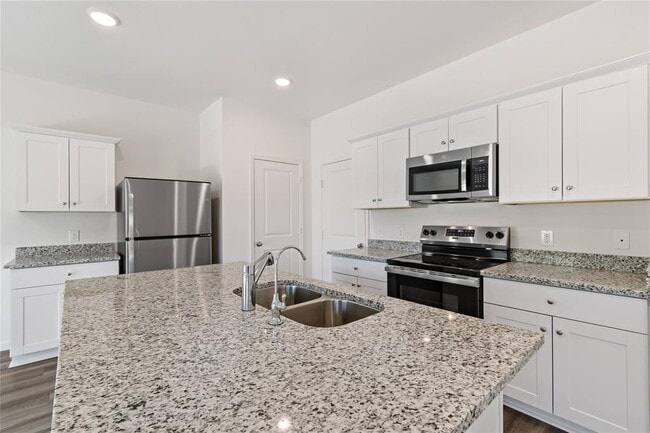 10163 Tiger Flower Ln in Houston, TX - Building Photo - Building Photo