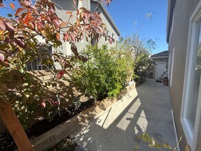 25910 Tennyson Ln in Stevenson Ranch, CA - Building Photo - Building Photo