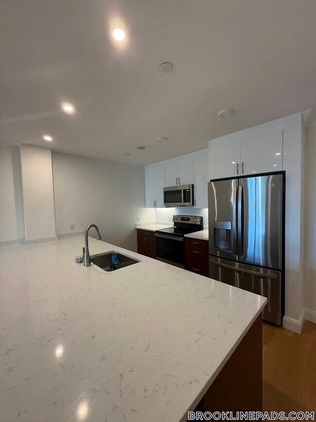 101 Asheville Rd in Brookline, MA - Building Photo - Building Photo