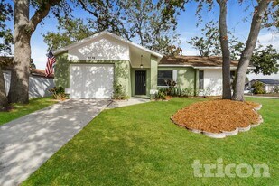 2539 Pinetta Ct in Holiday, FL - Building Photo