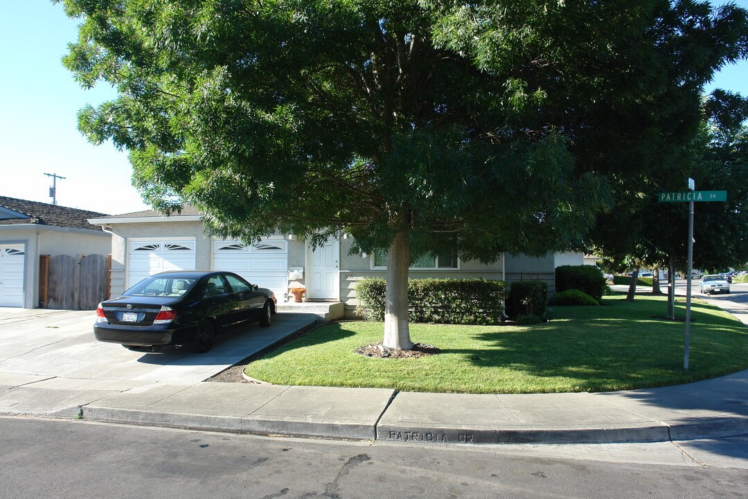 2434 Patricia Drive in Santa Clara, CA - Foto de edificio
