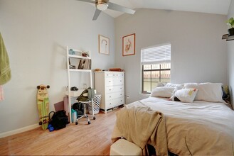 1102 Prospect Ave in Austin, TX - Building Photo - Building Photo