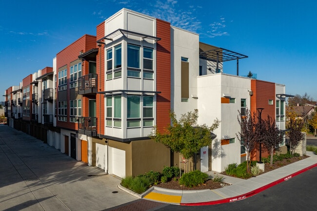 SOCO Apartments in Napa, CA - Building Photo - Building Photo
