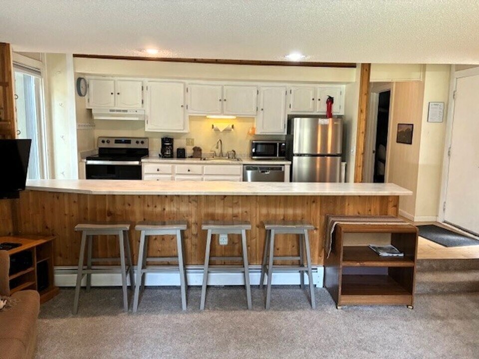 1105 Ski Hill Rd in Breckenridge, CO - Building Photo
