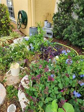 2877 Belmont Ln in Hollywood, FL - Building Photo - Building Photo