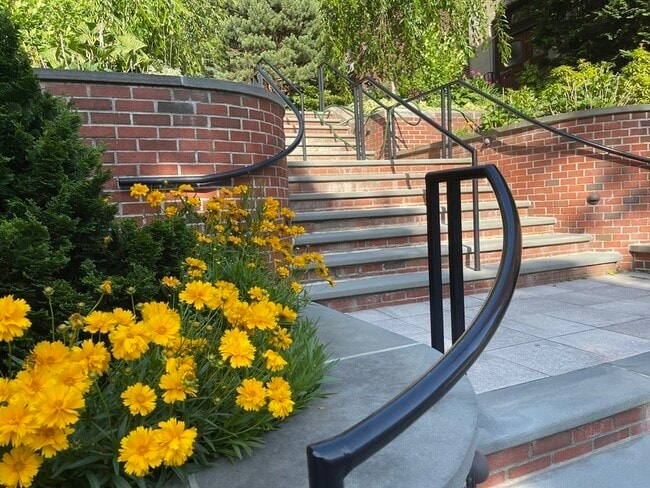 311 Tappan St in Brookline, MA - Building Photo - Building Photo