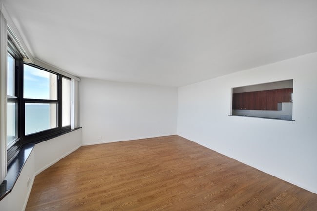 South Shore Beach Apartments in Chicago, IL - Foto de edificio - Building Photo