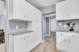 423 N Ring Ave in Tarpon Springs, FL - Building Photo - Building Photo
