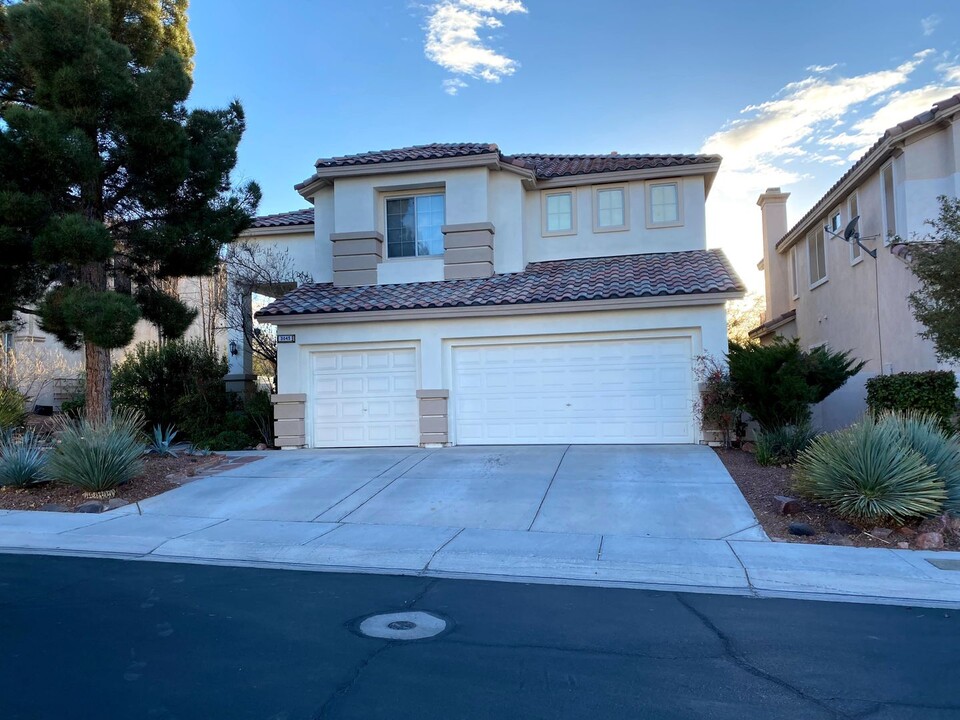 3045 Via Sarafina Dr in Henderson, NV - Building Photo