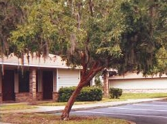 Willows Village in Kissimmee, FL - Foto de edificio - Building Photo