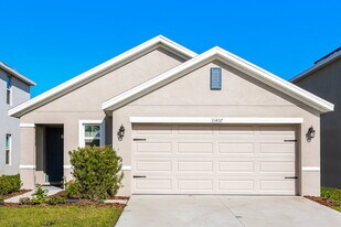 11437 Stone Pine St in Riverview, FL - Building Photo