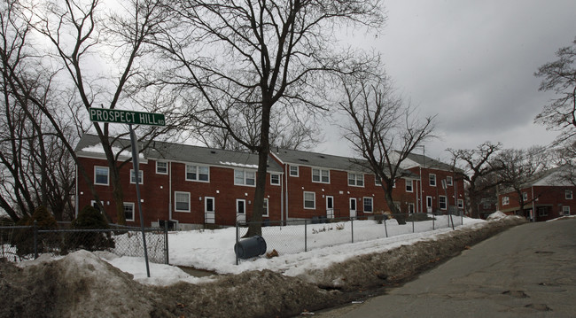 Prospect Hill Terrace in Waltham, MA - Foto de edificio - Building Photo