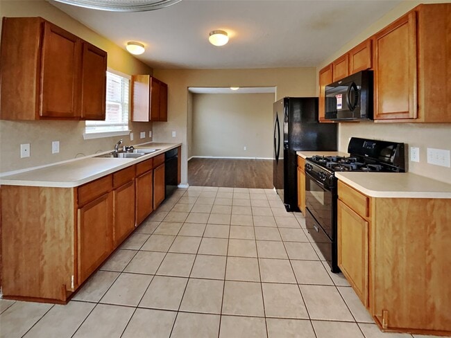 14427 Brunswick Point Ln in Houston, TX - Building Photo - Building Photo