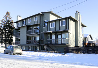 205 5th Ave NE in Calgary, AB - Building Photo - Building Photo