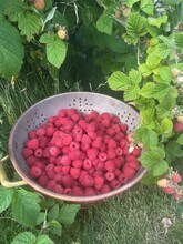 5024 N Madison St in Spokane, WA - Building Photo - Building Photo