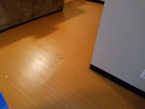 1526 S State St, Unit Apt B 2 Bed up in Salt Lake City, UT - Building Photo - Building Photo