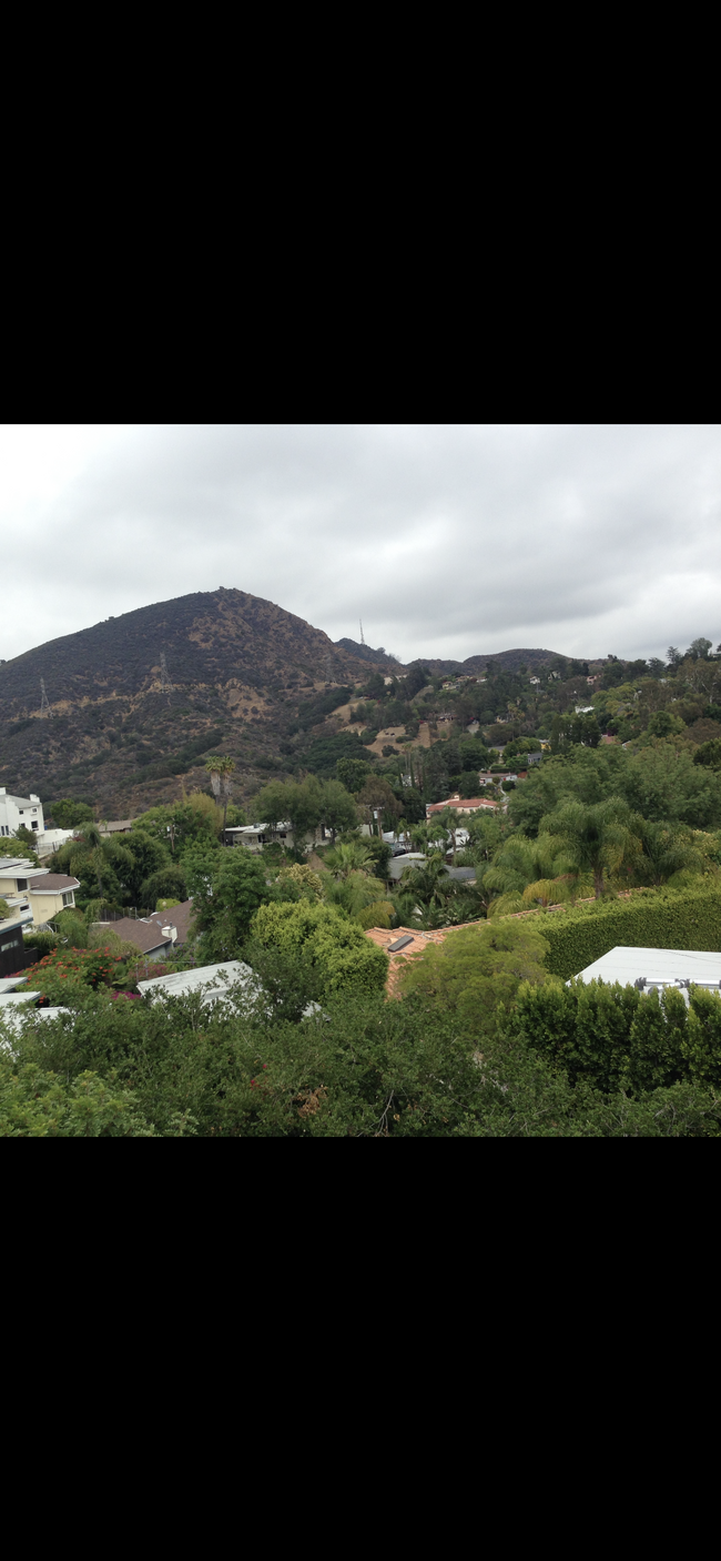 3391 Troy Dr in Los Angeles, CA - Building Photo - Building Photo