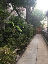 2035 N Vista del Mar Ave in Los Angeles, CA - Foto de edificio - Building Photo