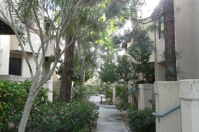 8437 Via Mallorca in San Diego, CA - Building Photo - Building Photo