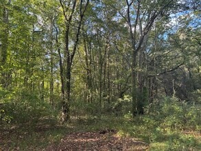 130 Value Rd in Brandon, MS - Building Photo - Building Photo