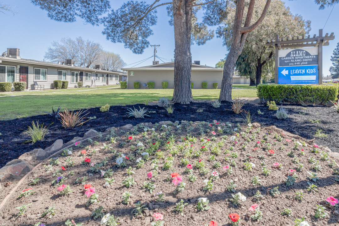 Alamo Garden Apartments - Income Restrictions in Vacaville, CA - Building Photo