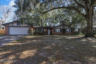3917 Tara Hall Dr in Jacksonville, FL - Building Photo