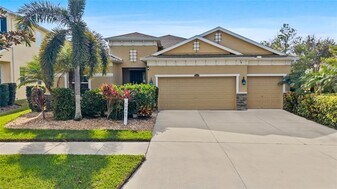 10405 Hampton Meadow Way in Riverview, FL - Building Photo