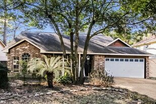24 S Rain Forest Ct in Spring, TX - Building Photo