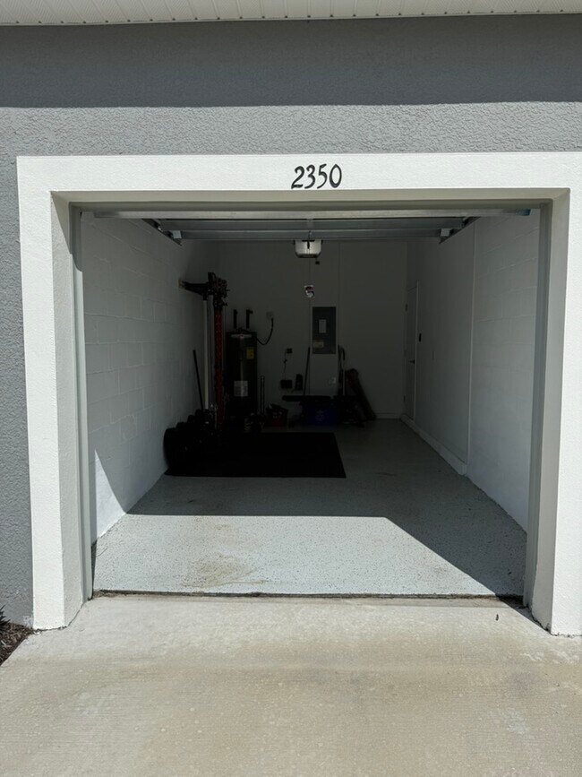 2350 Paravane Wy in Wesley Chapel, FL - Foto de edificio - Building Photo