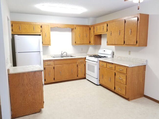 220 Leighton Dr in Big Lake, MN - Foto de edificio - Building Photo