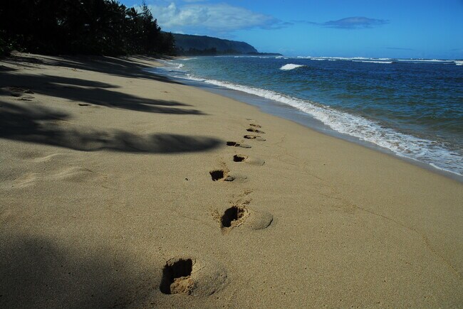 68-254 Crozier Loop in Waialua, HI - Building Photo - Building Photo