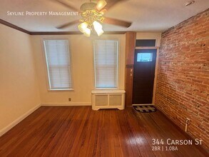 344 Carson St in Philadelphia, PA - Building Photo - Building Photo