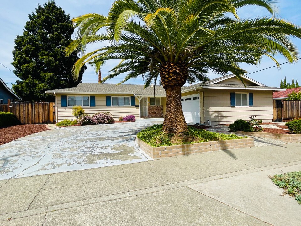 1007 Payette Ave in Sunnyvale, CA - Foto de edificio