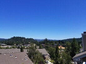 125 Arabian Way in Scotts Valley, CA - Building Photo