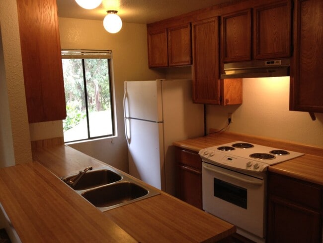 property at 145 Torrey Pine Terrace