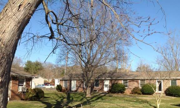 250 Avena Rd in Black Mountain, NC - Building Photo