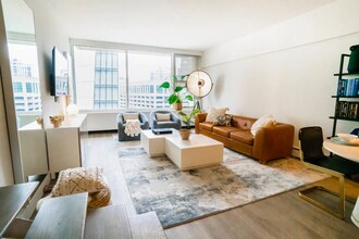 29 E Chestnut St in Chicago, IL - Foto de edificio - Building Photo