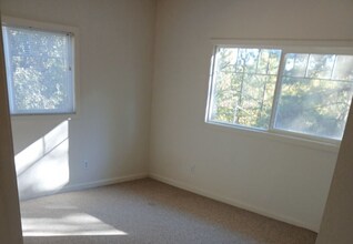 17501 Tannery Ln in Pine Grove, CA - Building Photo - Building Photo