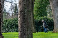 Apartments in Elk Grove, CA