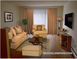 222 Babcock St in Brookline, MA - Building Photo - Building Photo