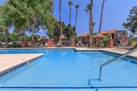 Building Photo - The Standard Raintree Apartments in Tucson, Arizona