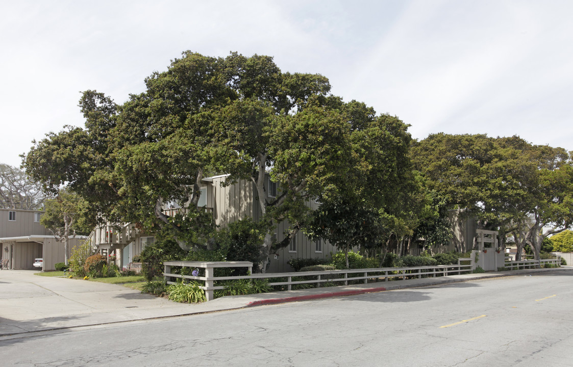 Olympia Oaks Apartments in Monterey, CA - Foto de edificio