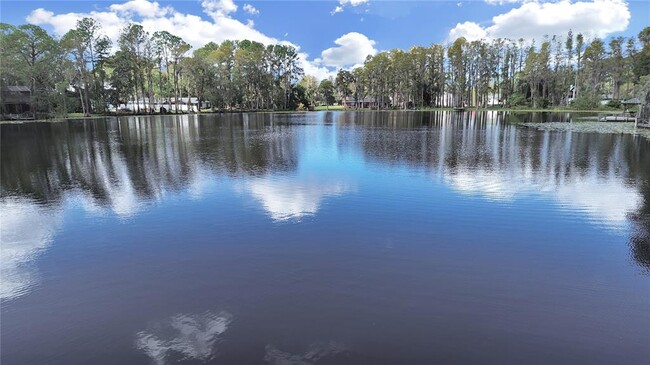 17150 Lakeshore Rd in Lutz, FL - Foto de edificio - Building Photo