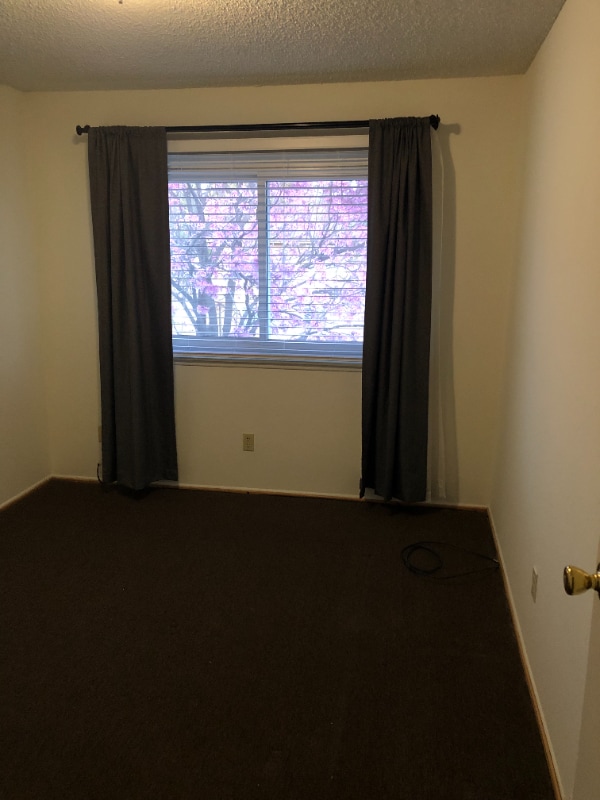 property at 1006 W Calle Del Sol