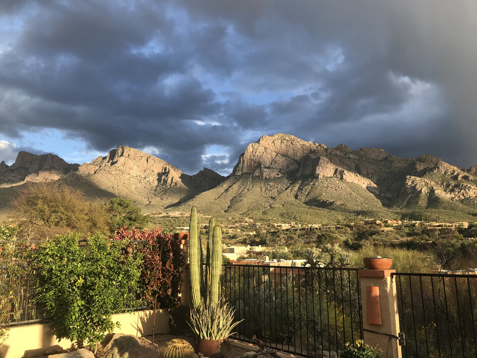 784 Cam Diestro in Oro Valley, AZ - Building Photo