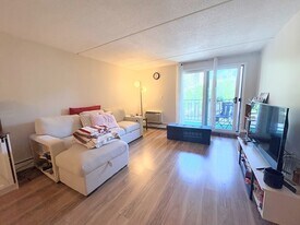 20 Ellery St, Unit 306 in Cambridge, MA - Building Photo