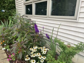 23231 W Lakeshore Dr in Antioch, IL - Foto de edificio - Building Photo