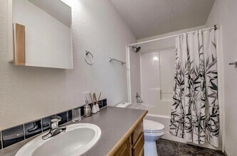 492 Kimmes Ln in Breckenridge, CO - Building Photo - Building Photo